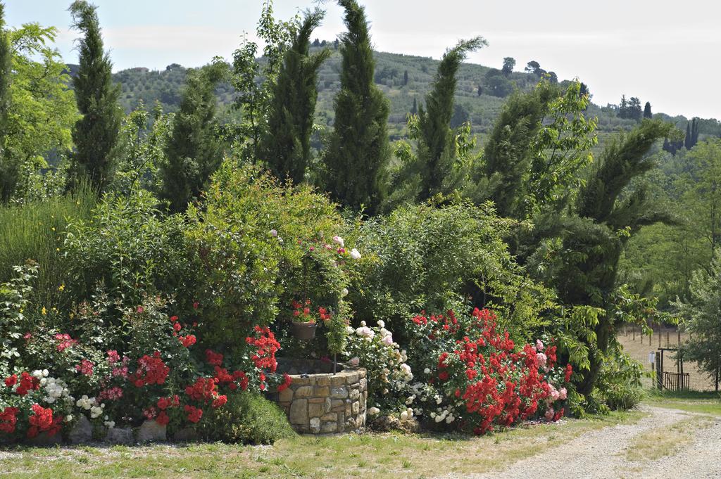 La Buca Di Montauto San Gimignano Bagian luar foto
