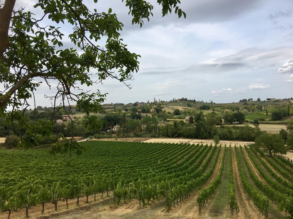 La Buca Di Montauto San Gimignano Bagian luar foto